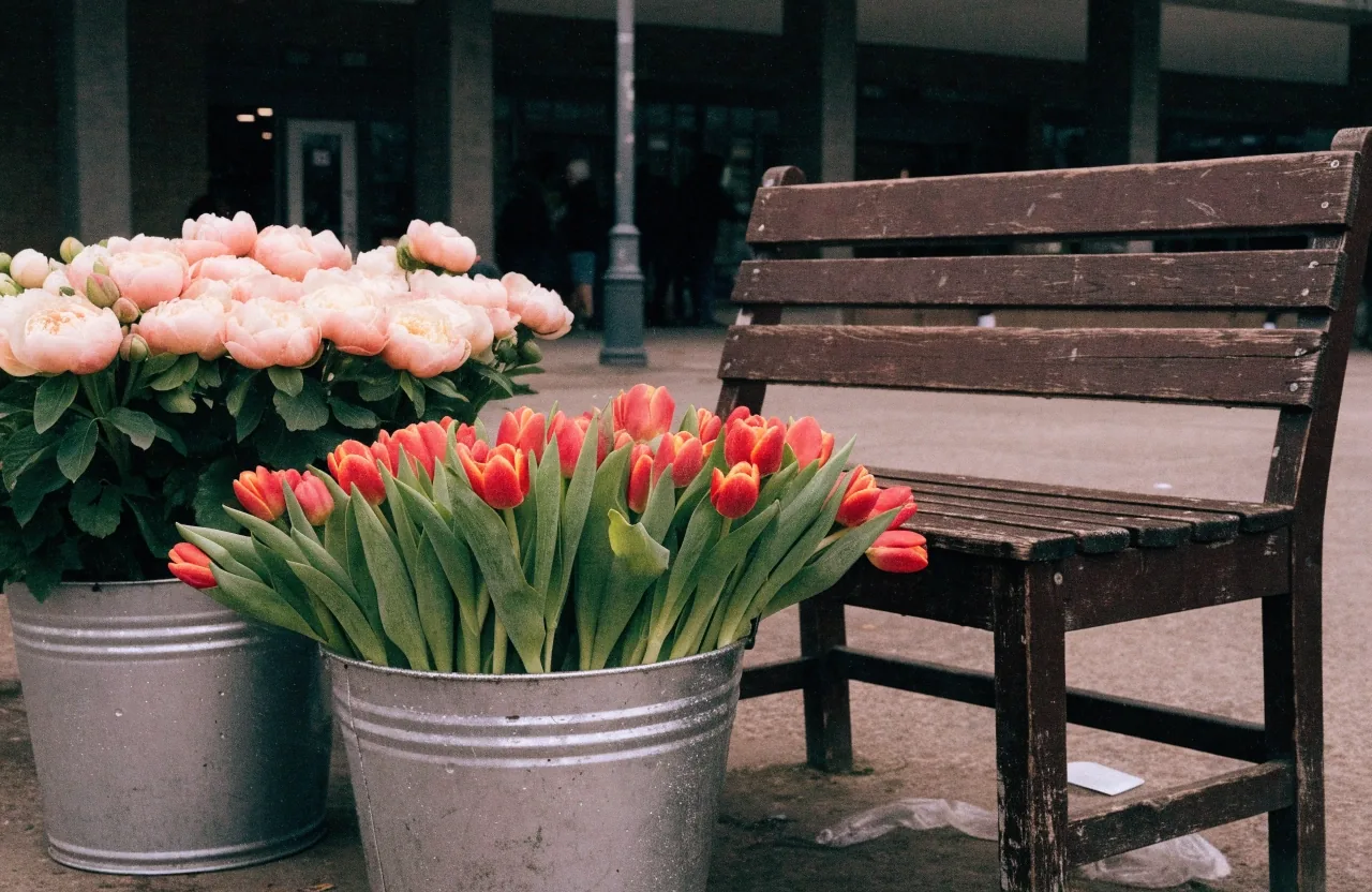 Buckets of tulips and peonies at a Portland flower market bench