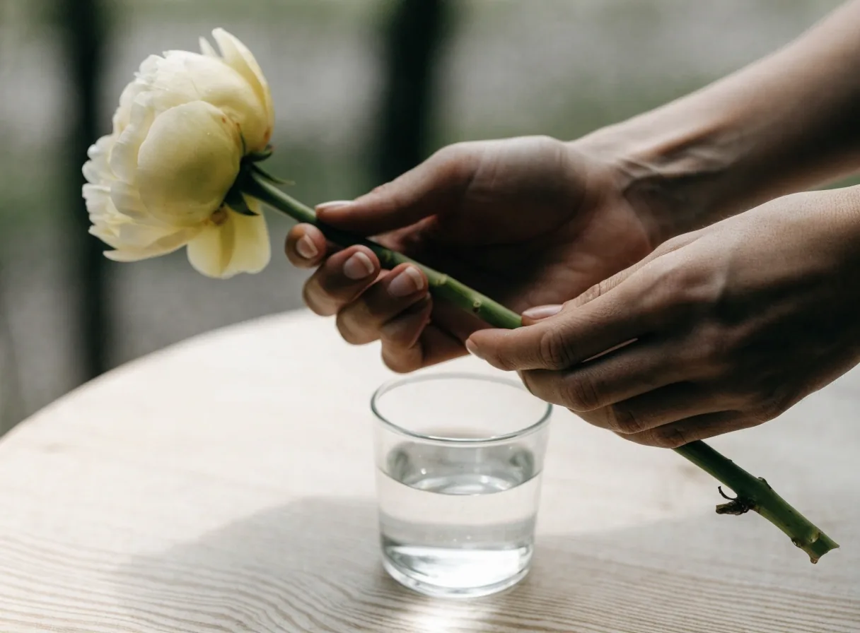 Trimmed flower stem held above a small vase of water